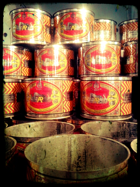 20130913_111030_Anne_Dirt